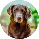 Антон's avatar